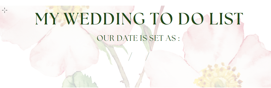Wedding Check List & Budget
